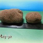 DSCN2279